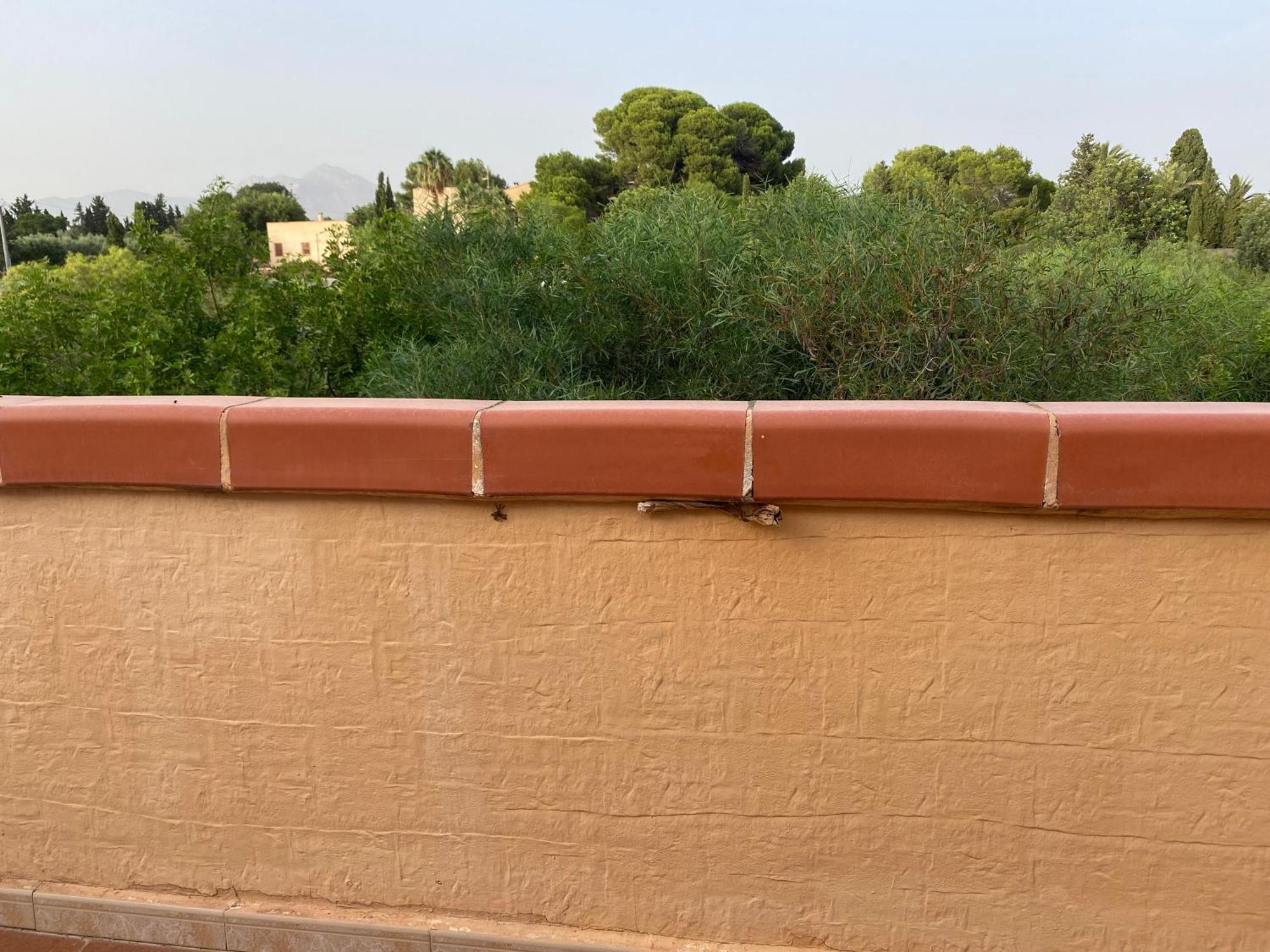 Casa En La Huerta De Mutxamel Βίλα Εξωτερικό φωτογραφία