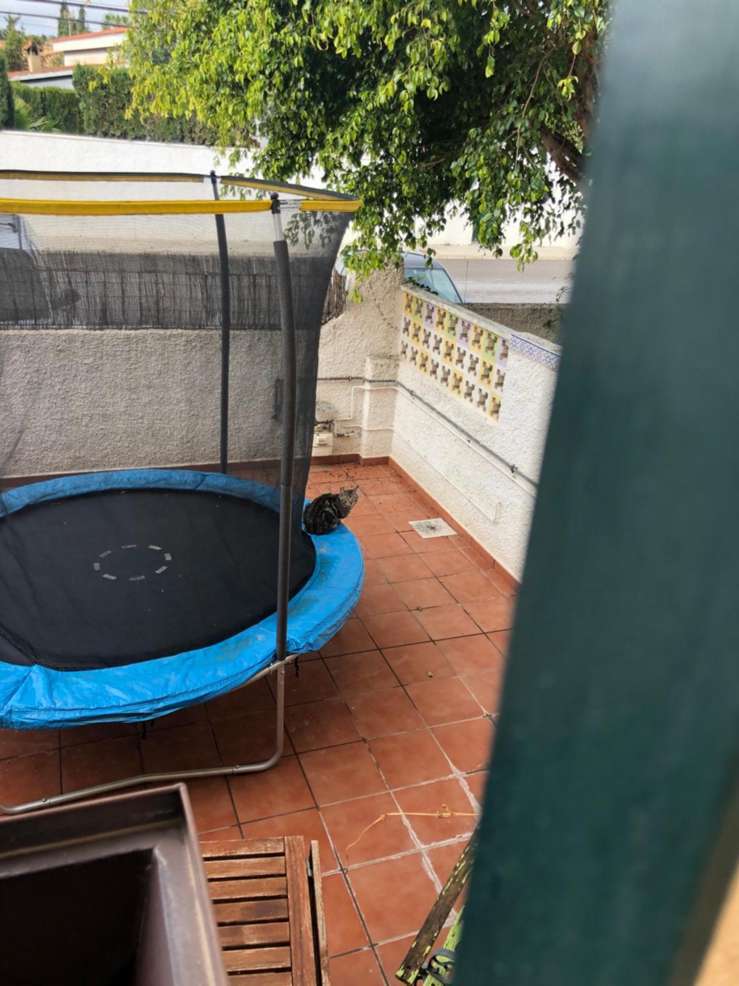 Casa En La Huerta De Mutxamel Βίλα Εξωτερικό φωτογραφία
